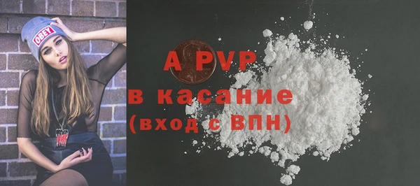крисы Алексин