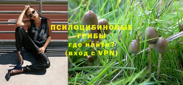 крисы Алексин